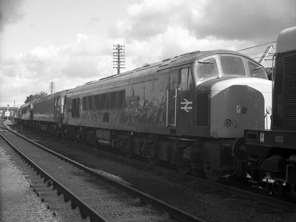 NI24 42M_Ikonta_FP4+