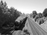 RF30 54DM_NikonDf_Flektogon50